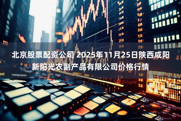 北京股票配资公司 2025年11月25日陕西咸阳新阳光农副产品有限公司价格行情